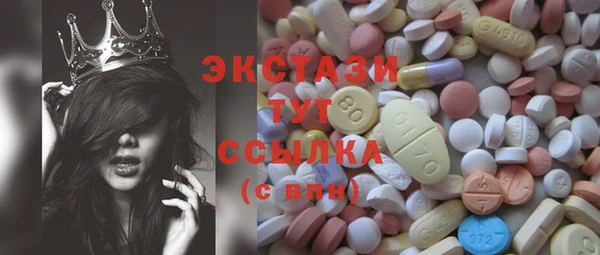 гидра Вязьма