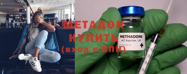 гидра Вязьма
