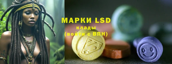 прущая мука Вяземский