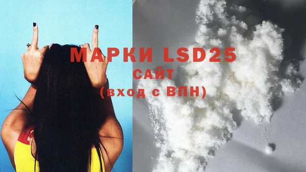 гидра Вязьма