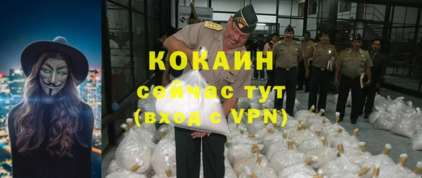 прущая мука Вяземский