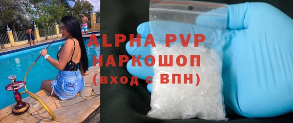 прущая мука Вяземский