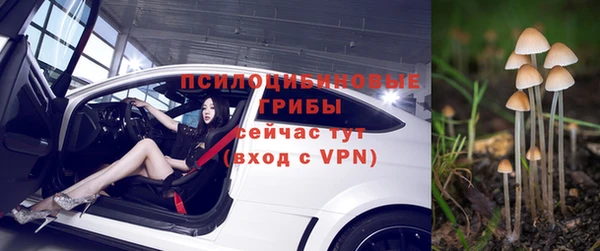 СК Вязники