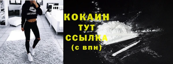 гидра Вязьма